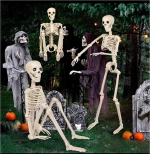 28" Halloween Skeleton,Full Body Skeleton with Posable Movable Joints for Haunted House Props Decorations