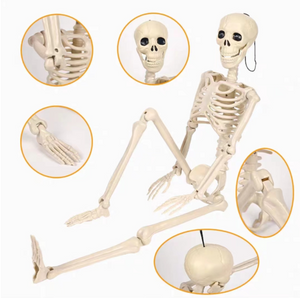 28" Halloween Skeleton,Full Body Skeleton with Posable Movable Joints for Haunted House Props Decorations