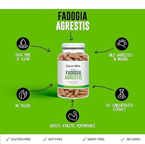 Kaycee Rose-100% Pure Concentrated Fadogia Agrestis Stem Extract 10:1, 130 Capsules, 600mg – from Wild Harvested Stems, Powerful Extract for Athletic Performance